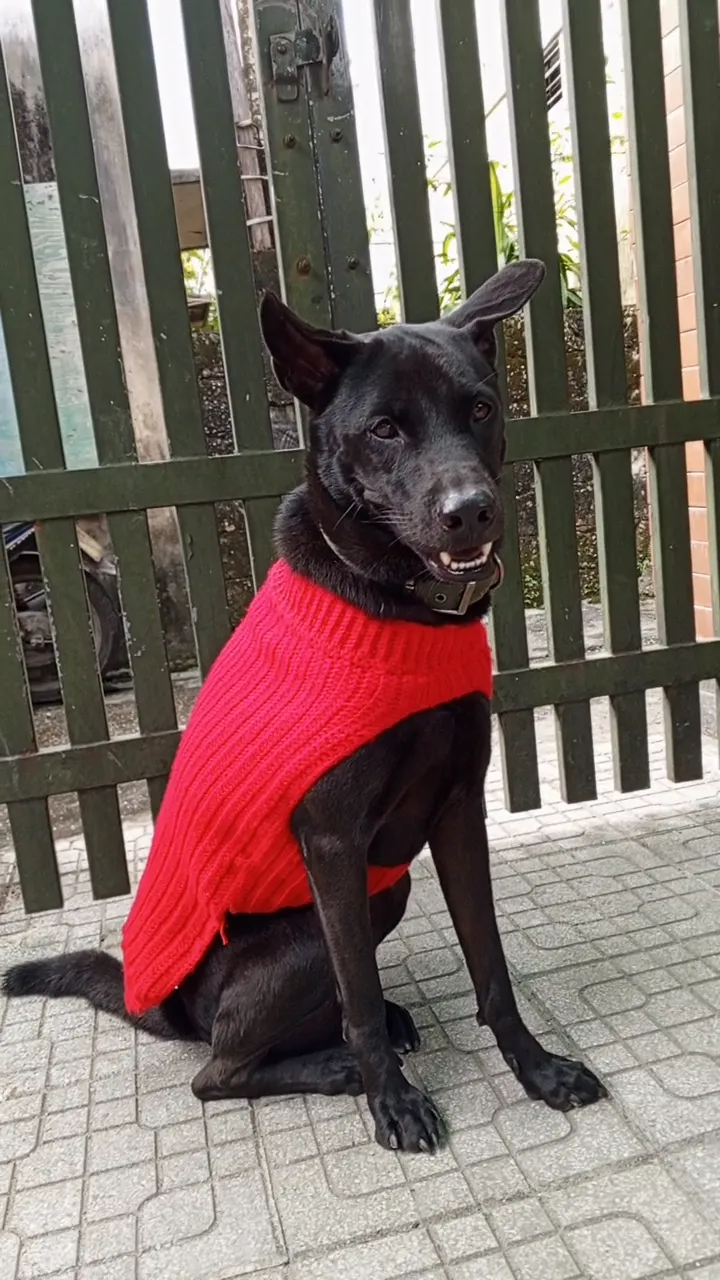 Ben with his fixed sweater